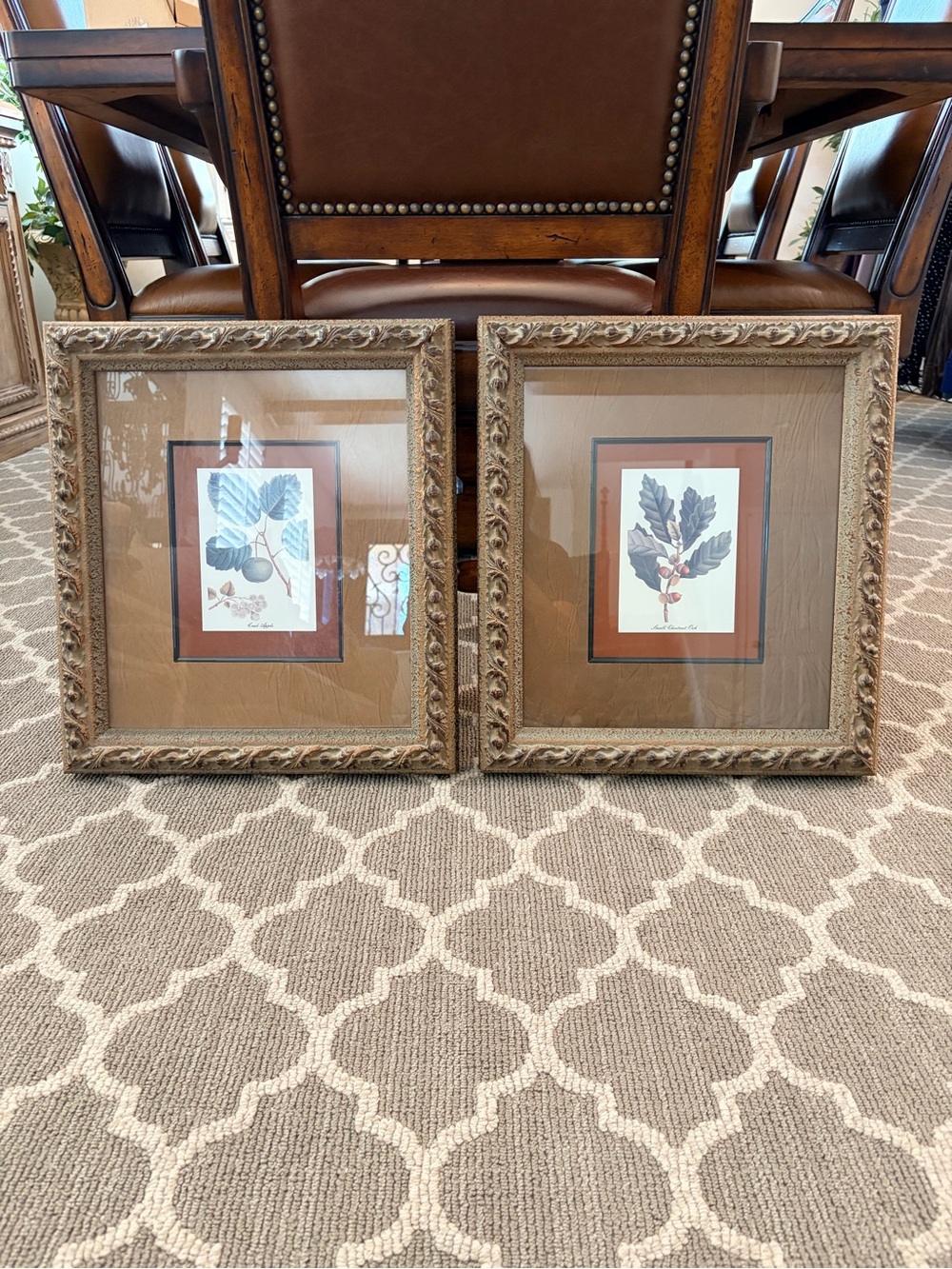Set of 2 Botanical Wall Art Prints with Brown Ornate Frames